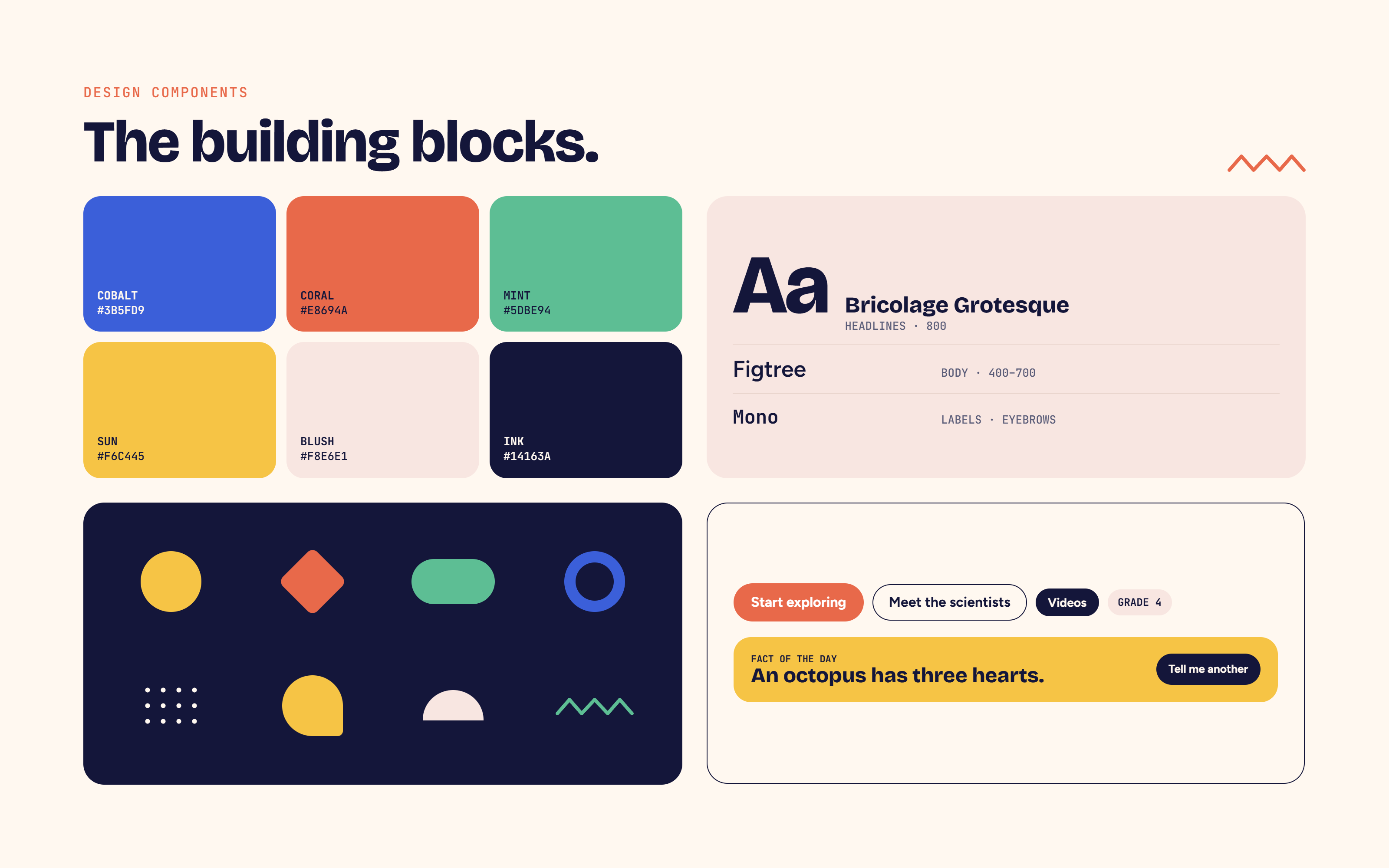 Design components: colour palette, type pairing, shapes and buttons
